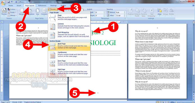 Cara Membuat Dan Mengatur Nomor Halaman Di Microsoft Word