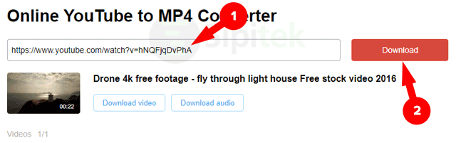 DVDVideoSoft Online YouTube to MP4 Converter