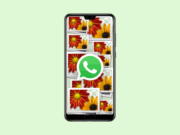 Cara Agar WhatsApp Tidak Menyimpan Foto Otomatis