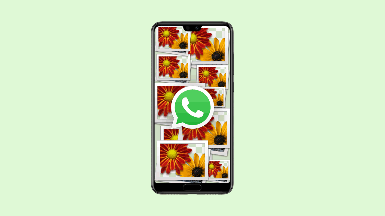 Cara Agar WhatsApp Tidak Menyimpan Foto Otomatis (Android & iOS)
